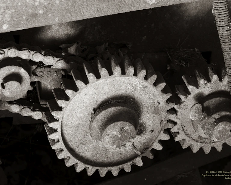 Gears and chain drive on an old piece of farm equipment.